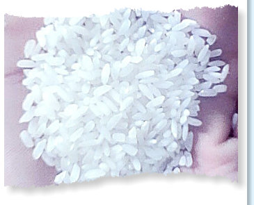 Pure quality white rice